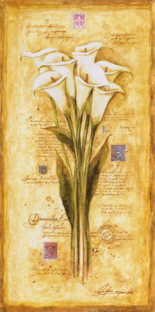 Callas of my Travels Print Callas of my Travels Print
