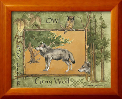 Gray Wolf Framed Print Gray Wolf Framed Print