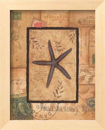Starfish Framed Print Starfish Framed Print