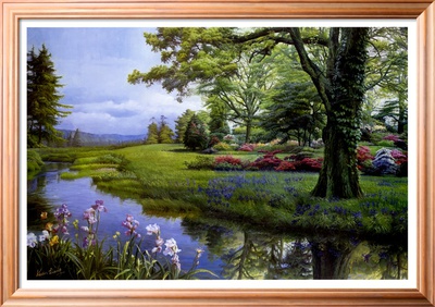 Shady Grove Framed Print Shady Grove Framed Print