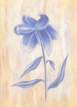 Splendid I Print Splendid I Print