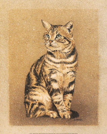 Cesar Print Cesar Print