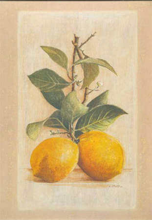Two Lemons Print Two Lemons Print