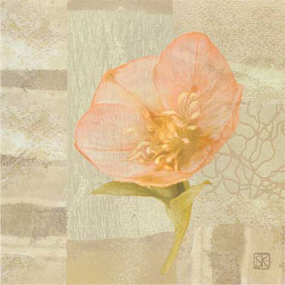Hellebore III Print Hellebore III Print