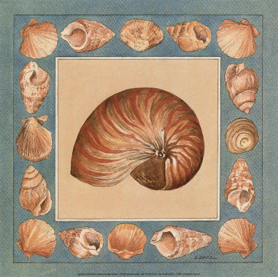 Coquillage II Print Coquillage II Print