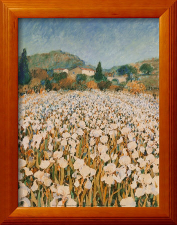 Farm Near Guillaumes Framed Print Farm Near Guillaumes Framed Print