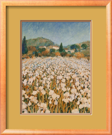 Farm Near Guillaumes Framed Print Farm Near Guillaumes Framed Print