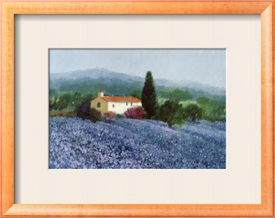Flax Field, Provence Framed Print Flax Field, Provence Framed Print