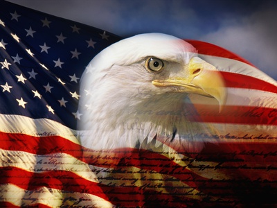 Bald Eagle Head and American Flag Stretched Canvas Print