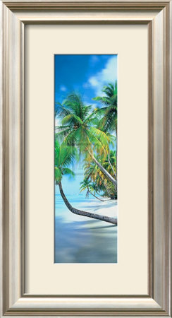 Palm Cove II Framed Print Palm Cove II Framed Print