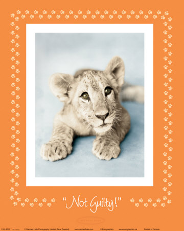 Not Guilty Print Not Guilty Print