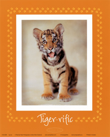 Tiger-ific Print Tiger-ific Print