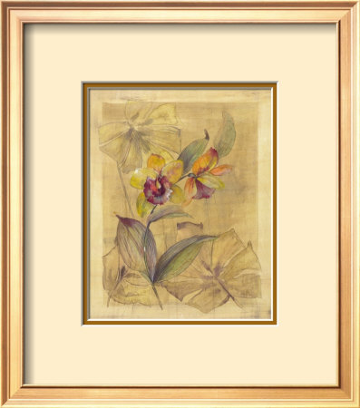 Bahama Breeze I Framed Print Bahama Breeze I Framed Print