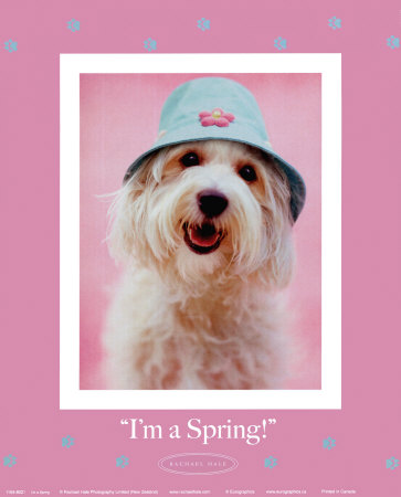 I'm a Spring Print I'm a Spring Print