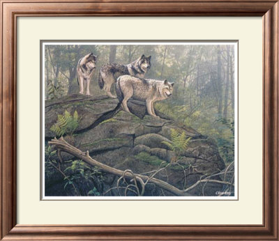 Wolves Framed Print Wolves Framed Print