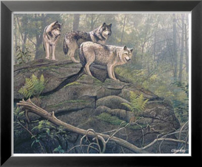 Wolves Framed Print Wolves Framed Print
