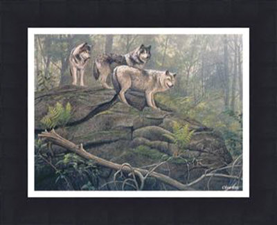Wolves Framed Print Wolves Framed Print