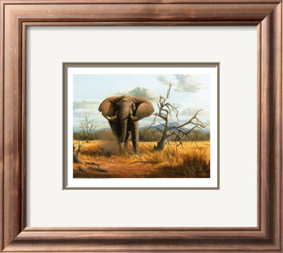 Charging elephant Framed Print Charging elephant Framed Print