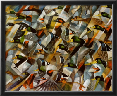 Mostly Mallards Framed Print Mostly Mallards Framed Print