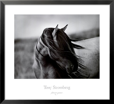 Fierce Grace Framed Print Fierce Grace Framed Print
