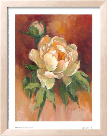 White Peonies II Framed Print White Peonies II Framed Print
