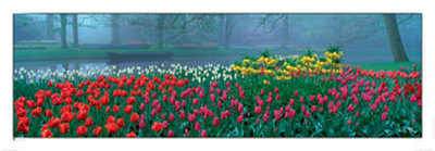 Keukenhof Print Keukenhof Print