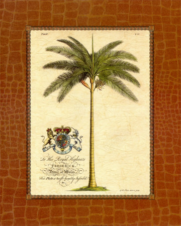 Date Palm Print Date Palm Print