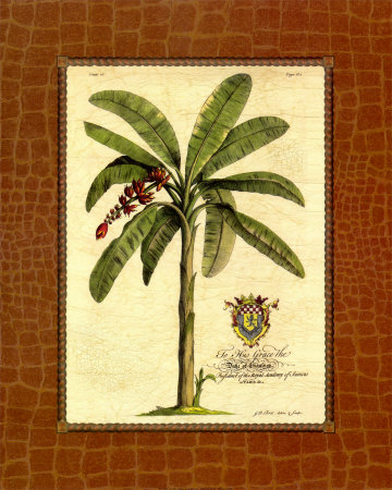 Banana Palm Print Banana Palm Print