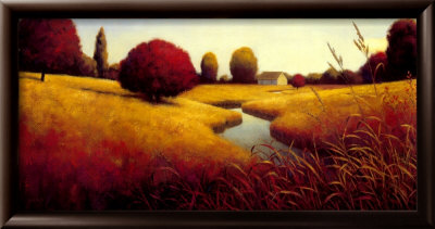 Golden Grasses Framed Print Golden Grasses Framed Print