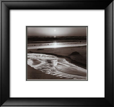Birds on a Beach Framed Print Birds on a Beach Framed Print