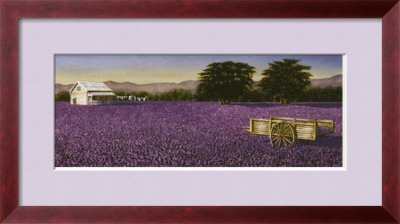 A Beautiful Life Framed Print A Beautiful Life Framed Print