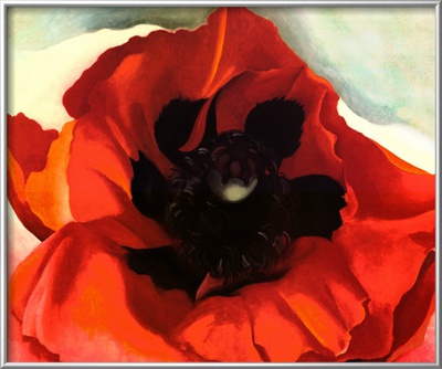 Poppy Framed Print Poppy Framed Print