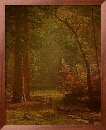 Dogwood I Framed Print Dogwood I Framed Print