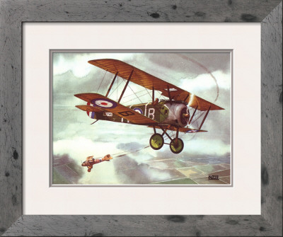 Sopwith Camel, 1917 Framed Print Sopwith Camel, 1917 Framed Print