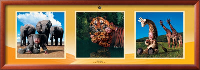 Imaginary Safari Framed Poster Imaginary Safari Framed Poster