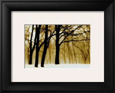Past Dreams Framed Print Past Dreams Framed Print