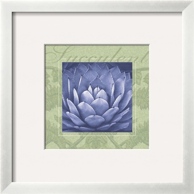 Succulent Framed Print Succulent Framed Print