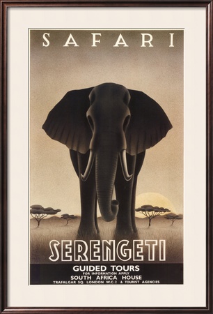 Serengeti Framed Print Serengeti Framed Print