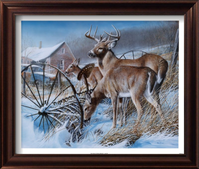 Snow Drifters Framed Print Snow Drifters Framed Print