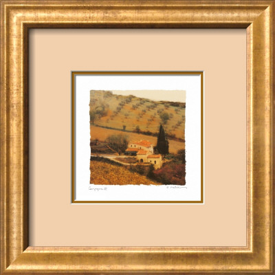 Campagna III Framed Print Campagna III Framed Print