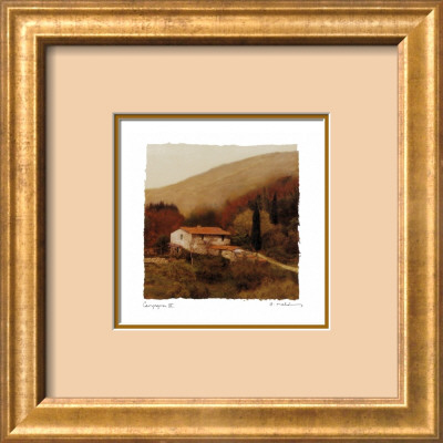 Campagna IV Framed Print Campagna IV Framed Print