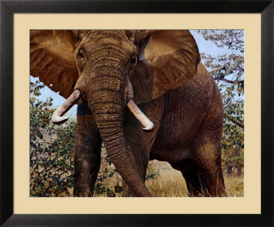 Jumbo Framed Print Jumbo Framed Print