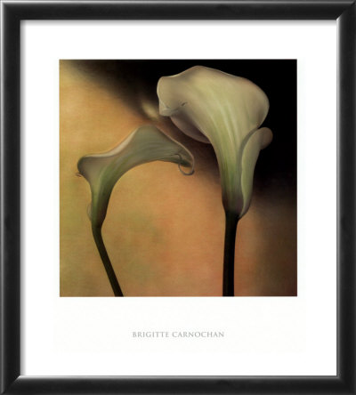 Calla Lily III Framed Print Calla Lily III Framed Print