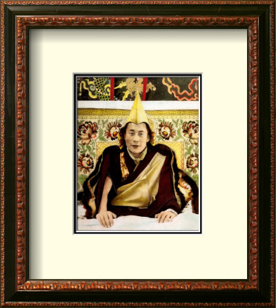 The Dalai Lama Framed Print The Dalai Lama Framed Print