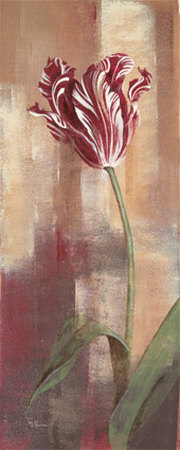 Parrot Tulip Print Parrot Tulip Print