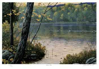 Golden Pond Limited Edition Golden Pond Limited Edition