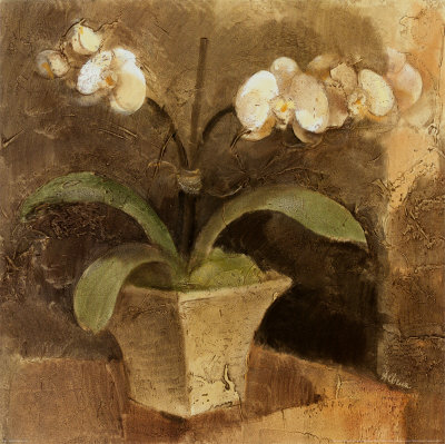 Serene Orchids II Print Serene Orchids II Print