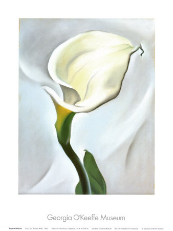 Calla Lily Turned Away, 1923 Print Calla Lily Turned Away, 1923 Print