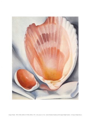 Two Pink Shells, 1937 Print Two Pink Shells, 1937 Print
