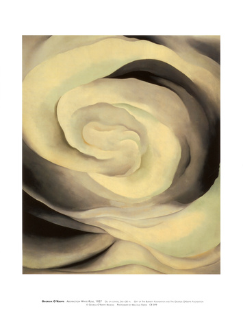 white rose pictures. Abstraction White Rose, 1927